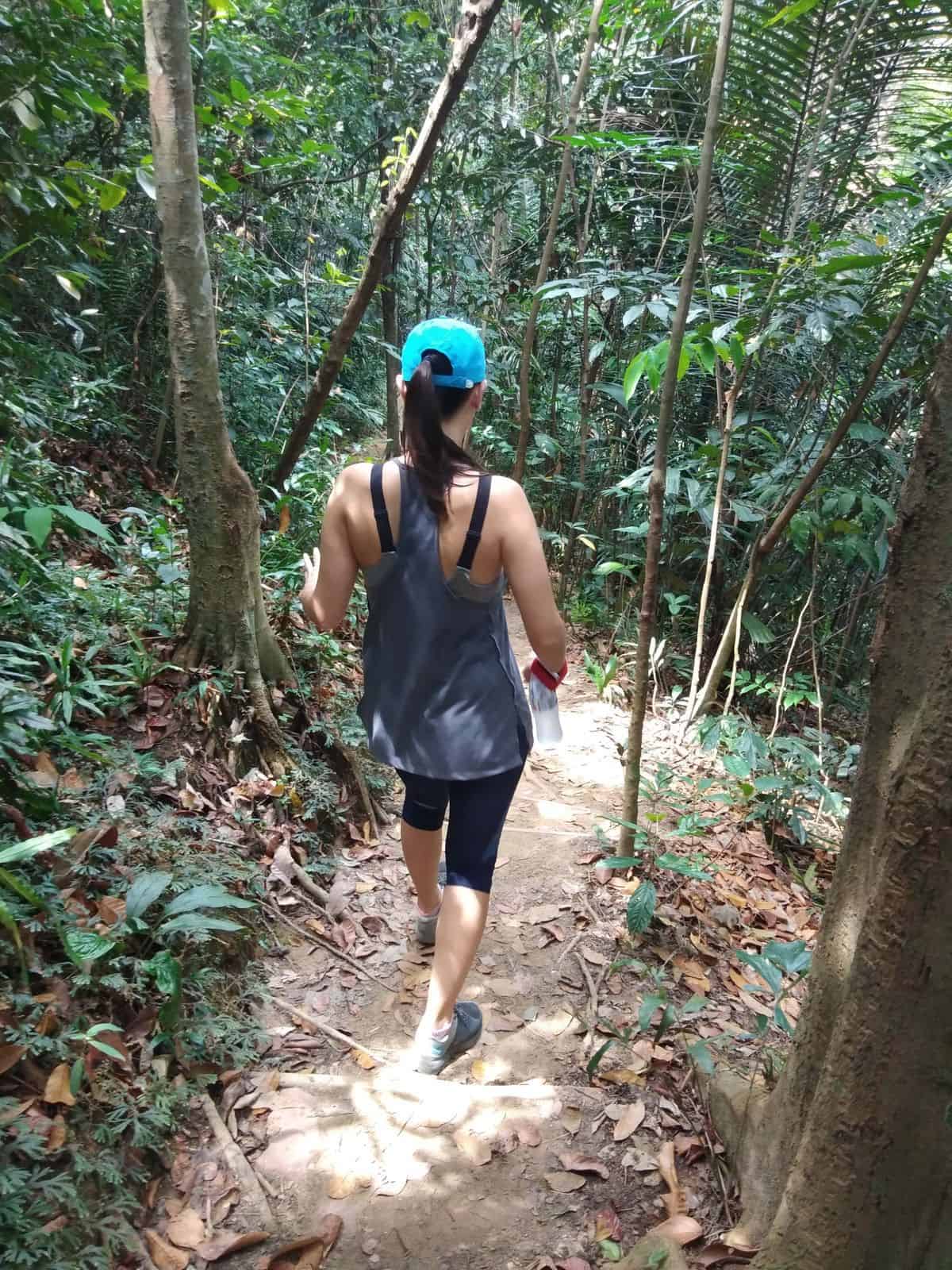 jungle hiking in Bukit Kiara, Kuala Lumpur // travelmermaid.com