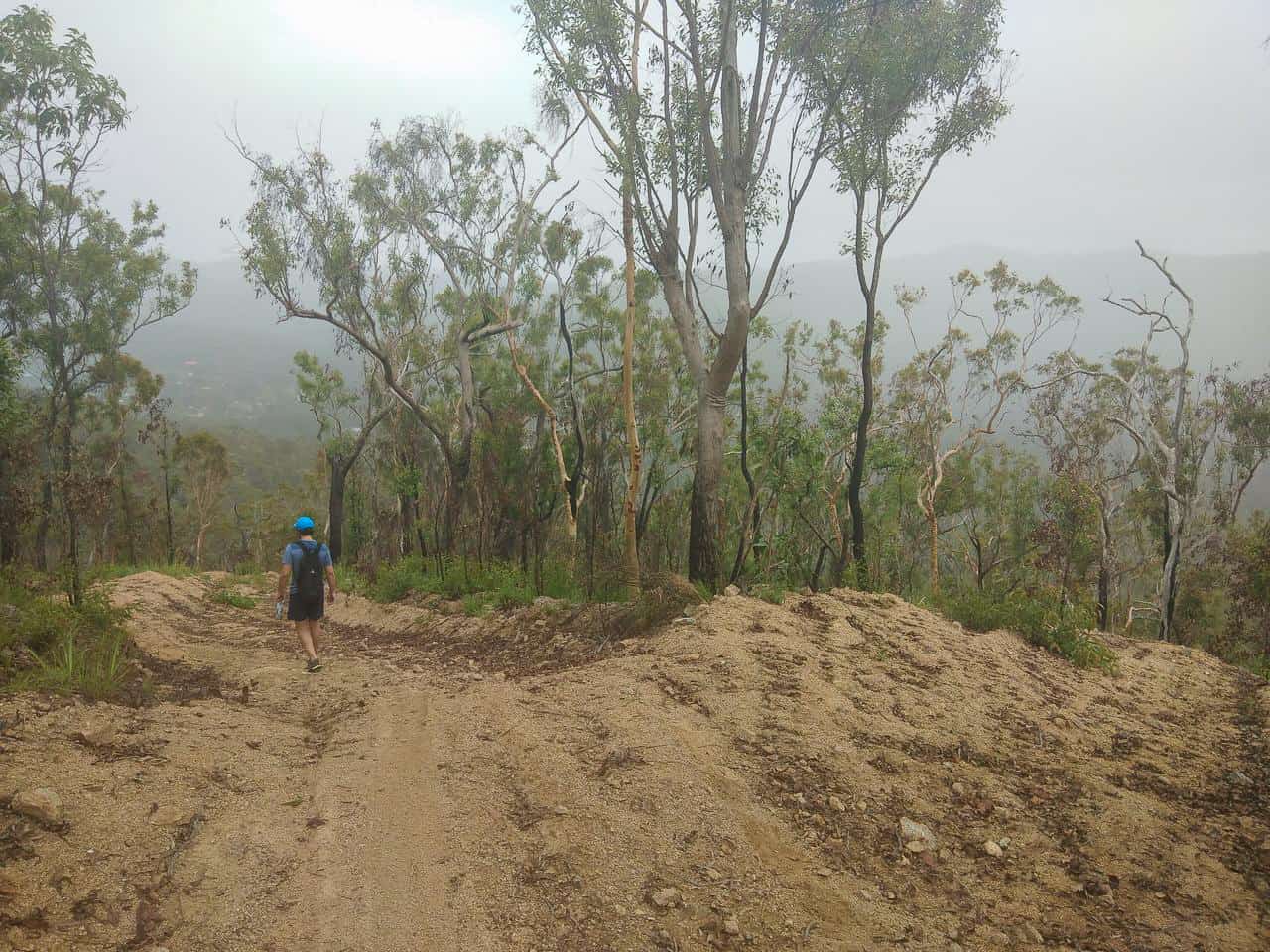 Mt Ida Firetrail in Atherton, Far North Queensland // Travel Mermaid