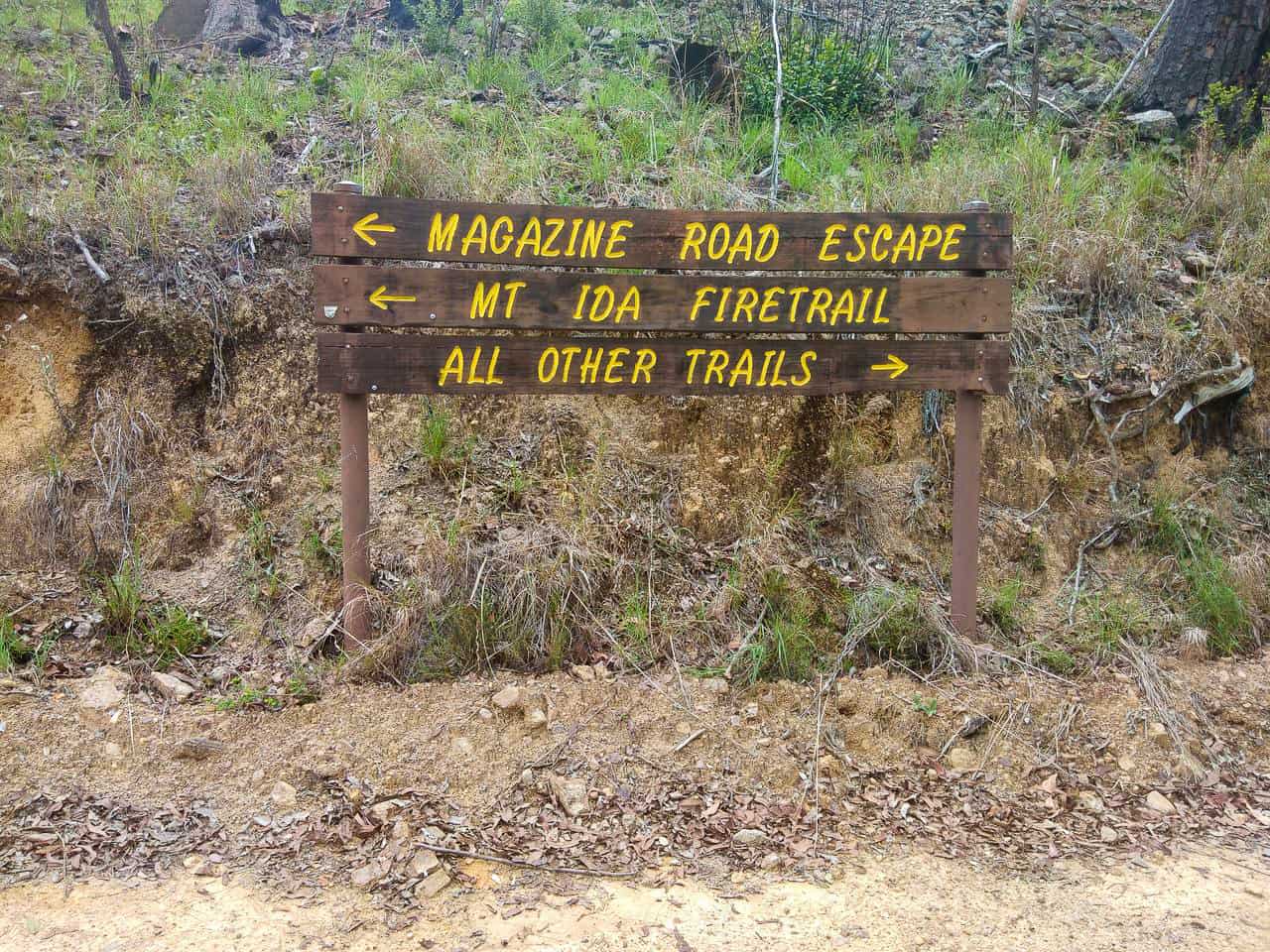 Mt Ida Firetrail in Atherton, Far North Queensland // Travel Mermaid