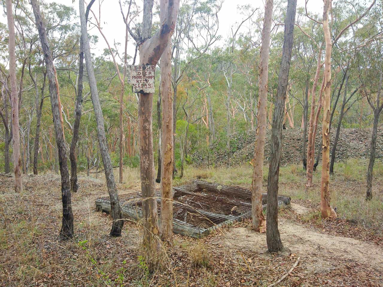 Mt Ida Firetrail in Atherton, Far North Queensland // Travel Mermaid