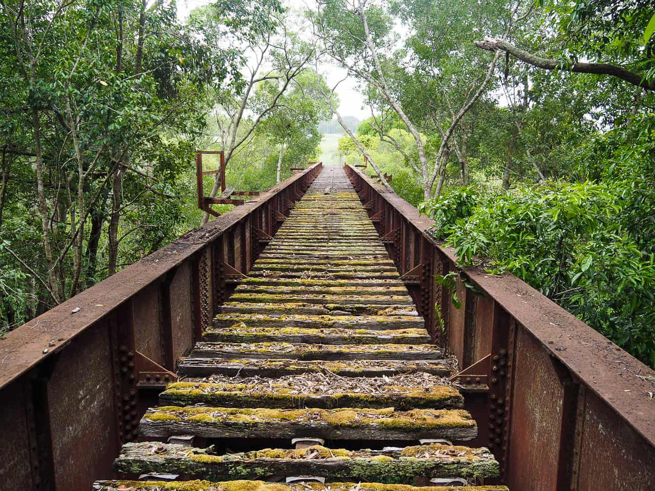 Peterson Creek walking trail in Yungaburra, Atherton Tablelands-Australia // Travel Mermaid