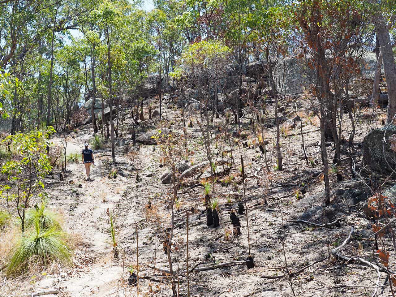 Torpedo Bay walking track near Lake Tinaroo, Far North Queensland // Travel Mermaid