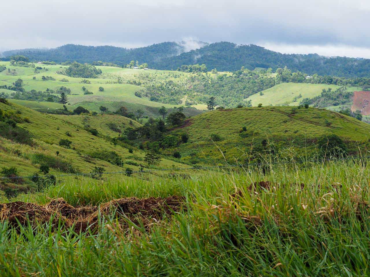 Rolling hills in the Atherton Tablelands countryside in North Queensland, Australia // travelmermaid.com