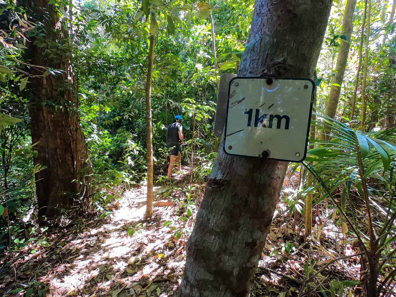 The 1km point along The Devil's Thumb hiking trail, North Queensland // Travel Mermaid