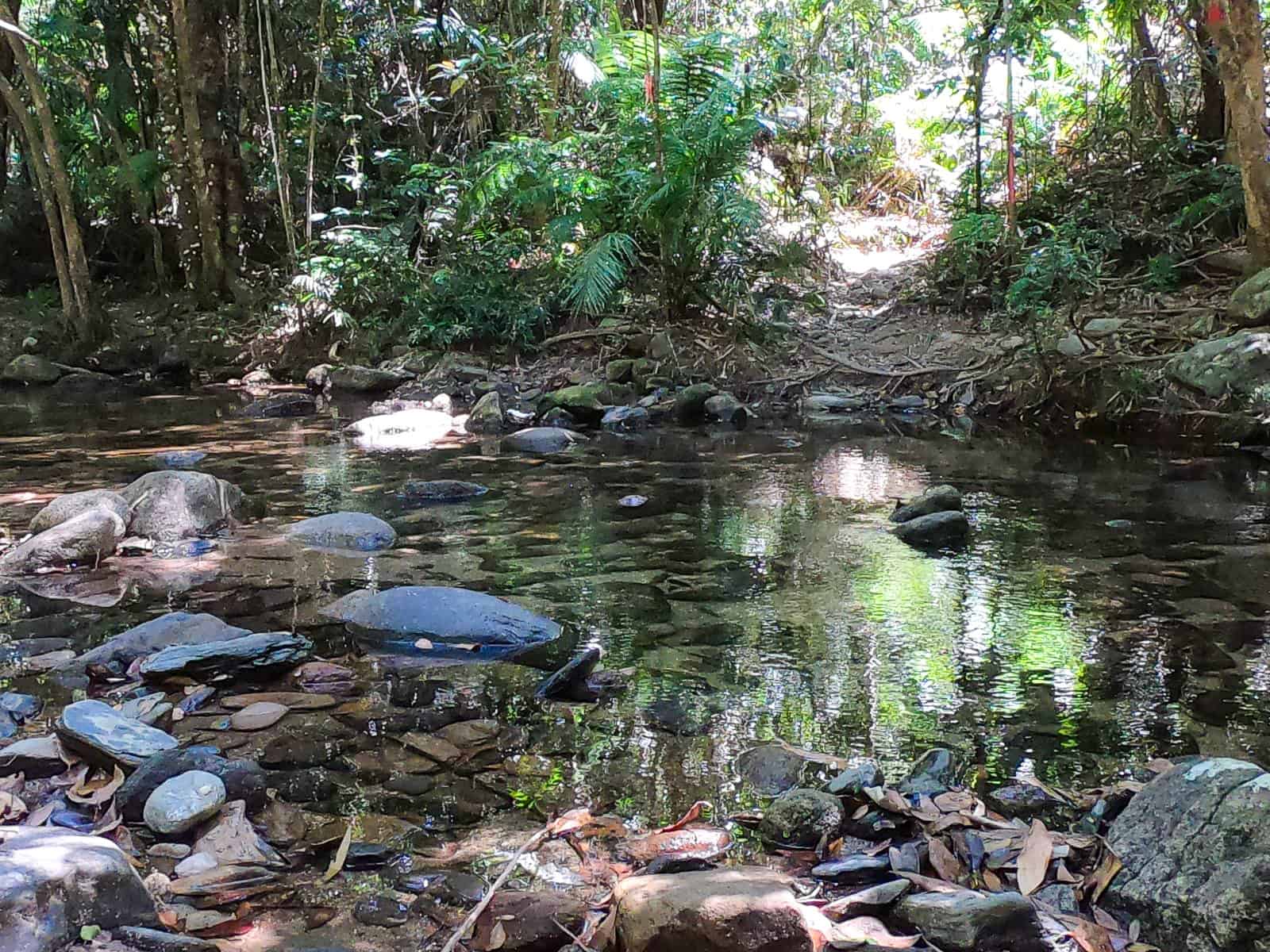 Little Falls Creek along Manjik Jimalji in North Queensland // Travel Mermaid