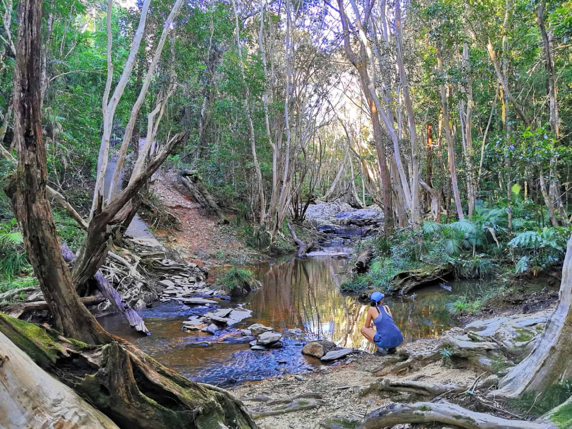 Robins Creek along the Bump Track hiking trail, Port Douglas // Travel Mermaid
