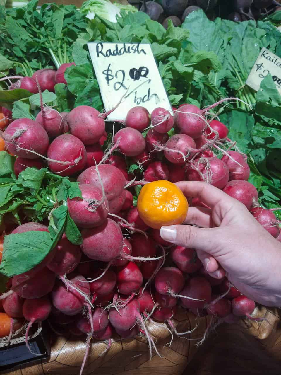 Radishes at Rusty's Market in Cairns // Travel Mermaid