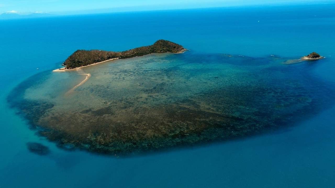Double Island in Palm Cove, North Queensland // Travel Mermaid