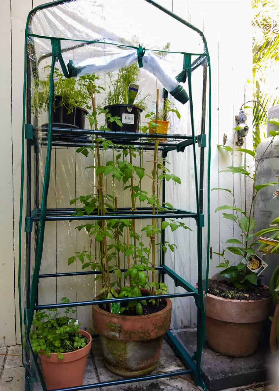 My garden greenhouse from Bunnings Warehouse // Travel Mermaid