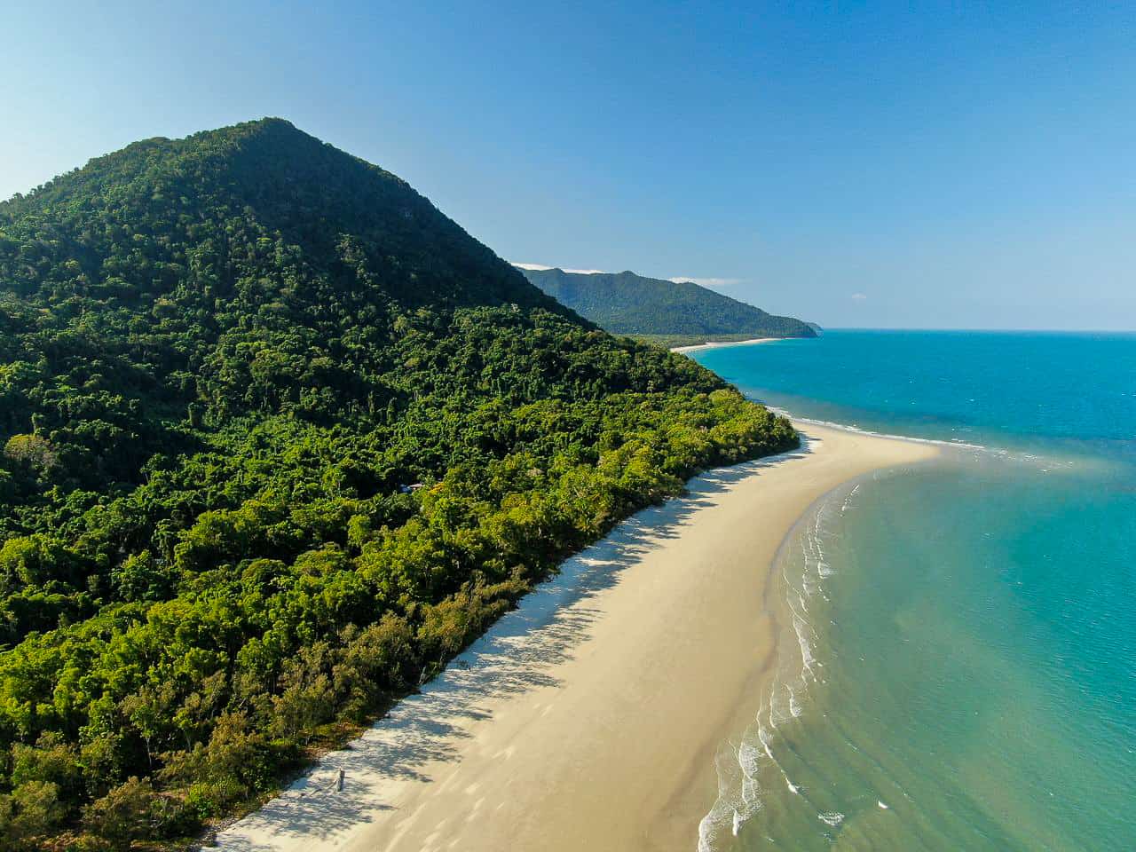 daintree rainforest tours from trinity beach