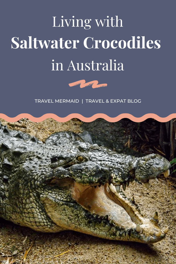 Living with saltwater crocodiles in Far North Queensland, Australia // Travel Mermaid