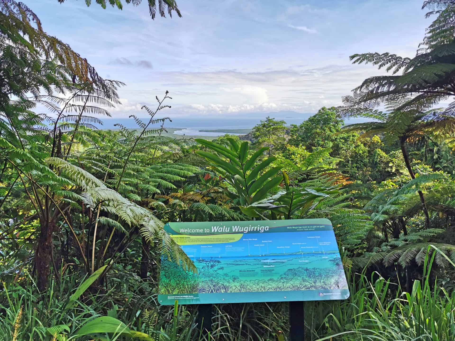 Alexandra Lookout in the Daintree rainforest, Far North Queensland // Travel Mermaid