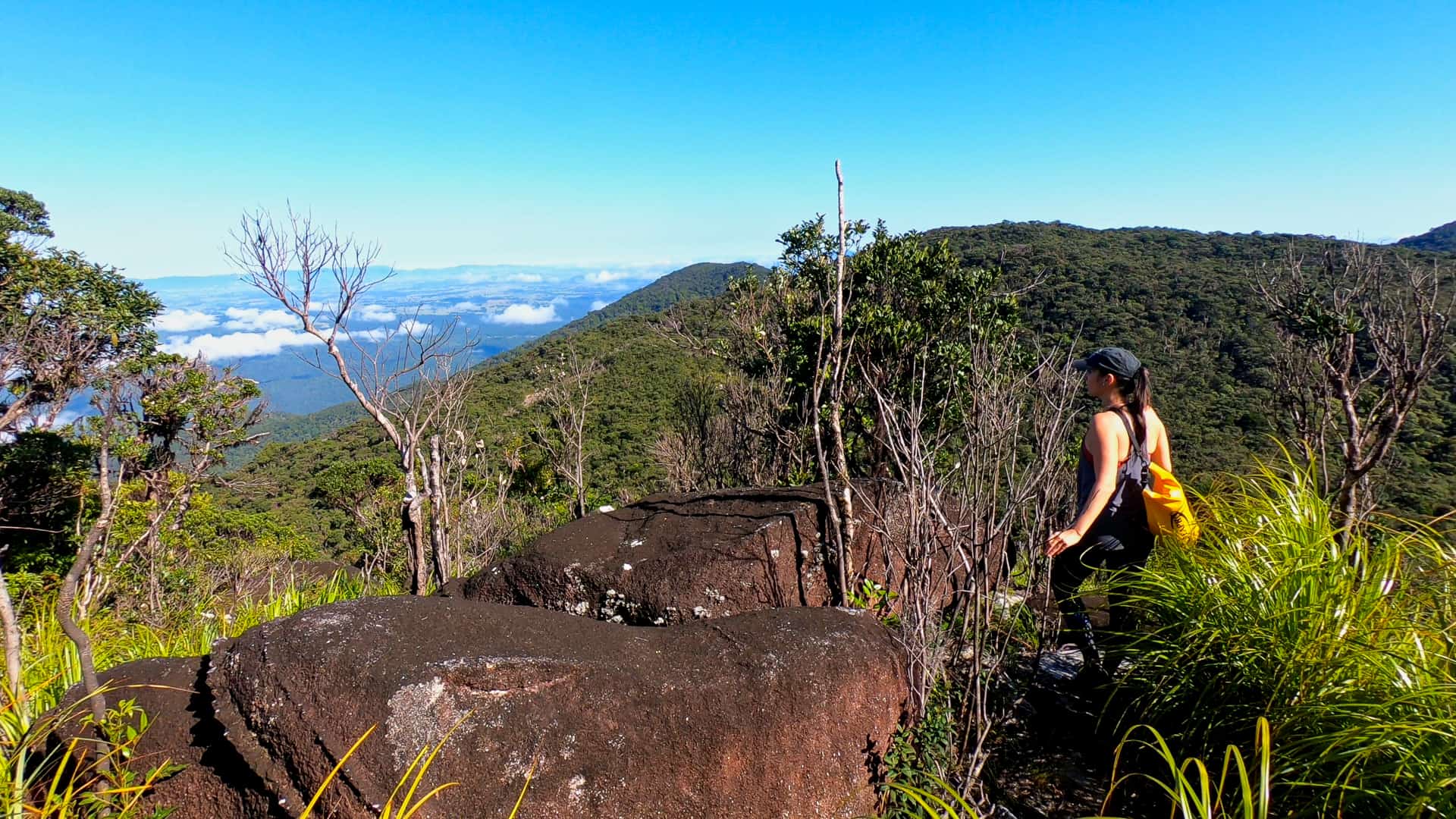 Views near Mount Bartle Frere summit along the Western Trail, Australia // Travel Mermaid