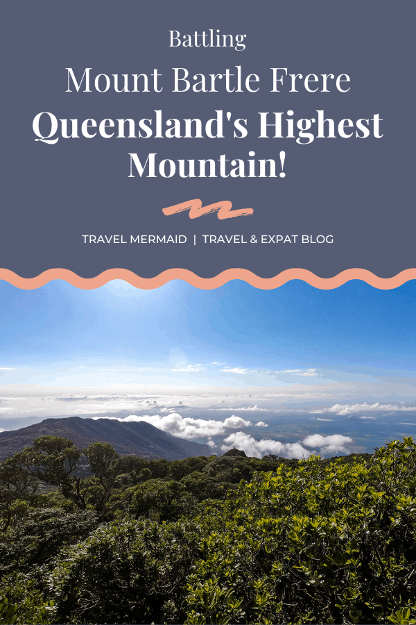 All you need to know about the Mount Bartle Frere hike in Queensland // Travel Mermaid