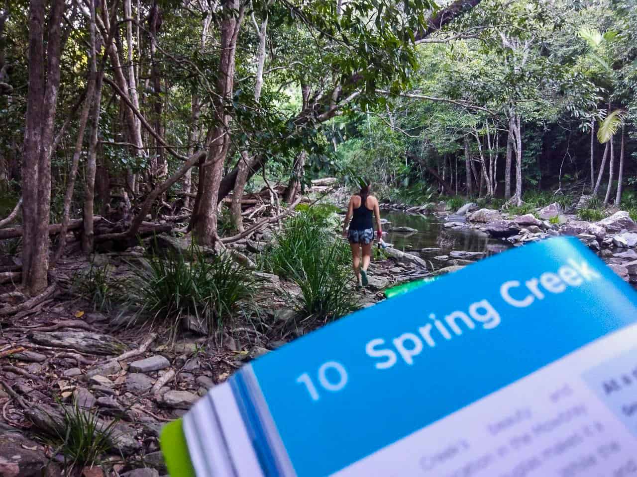 Spring Creek hiking track in Port Douglas, Queensland // Travel Mermaid