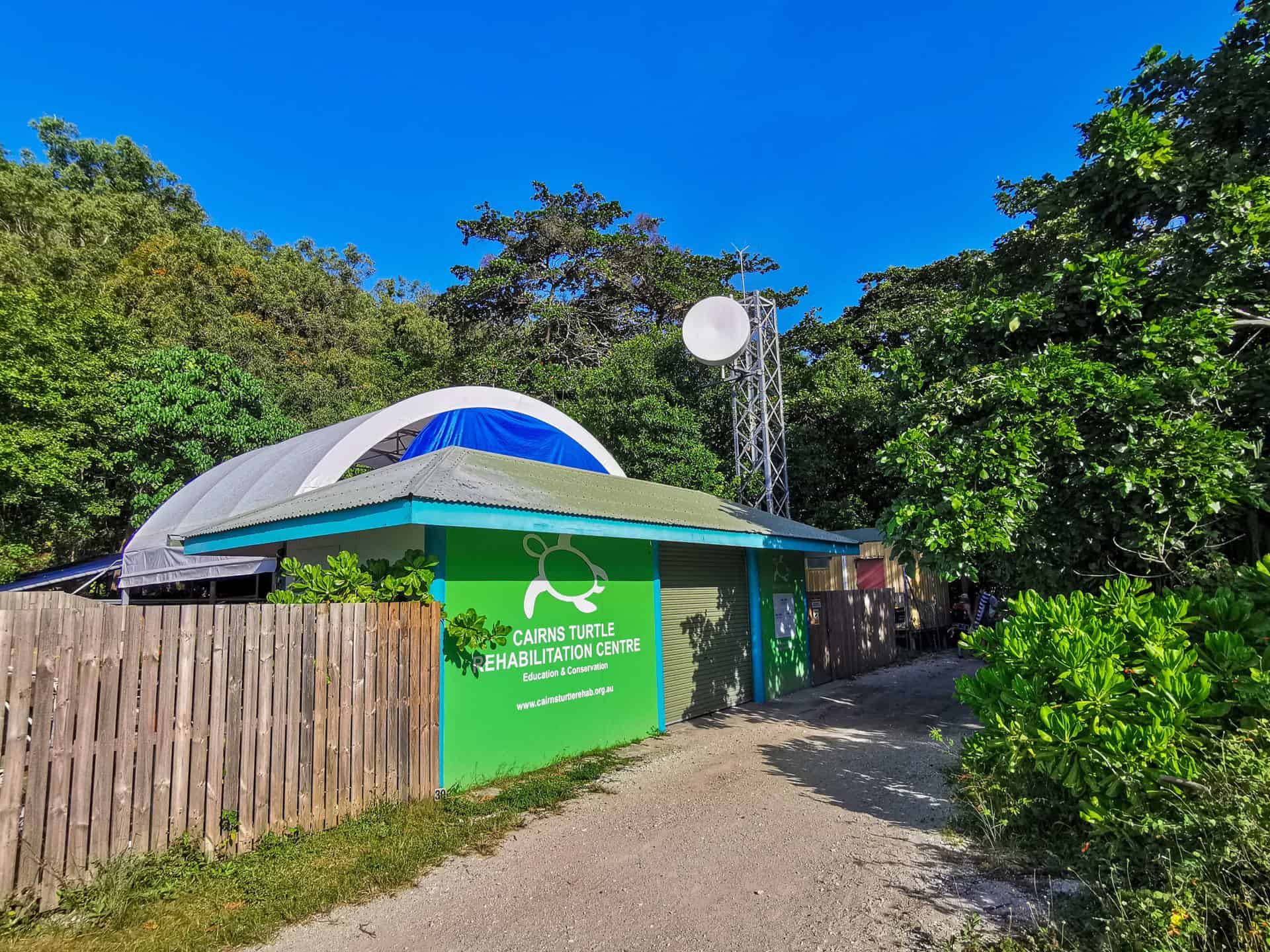 Cairns Turtle Rehabilitation Centre // Travel Mermaid