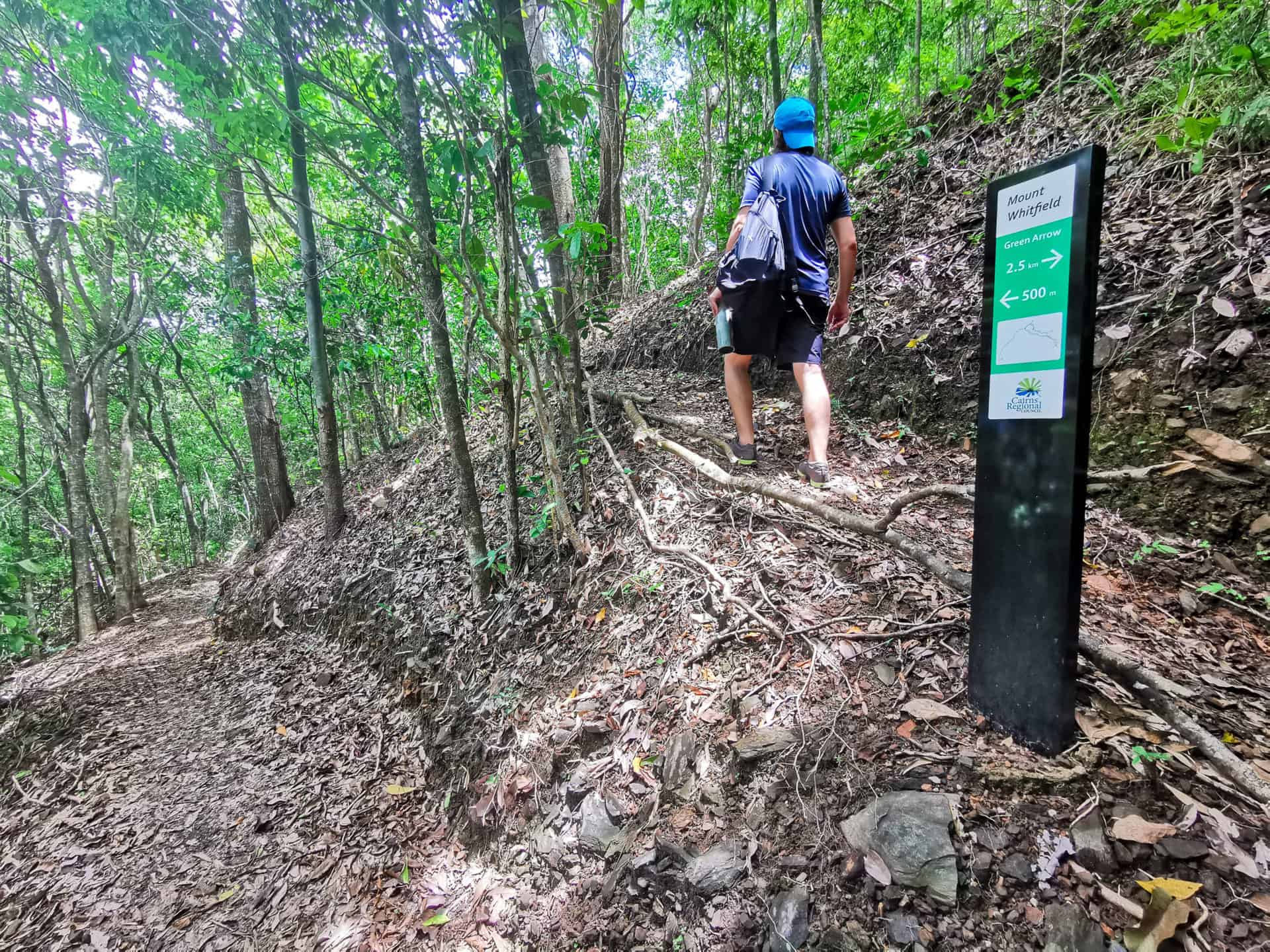 Green Arrow Track in Mount Whitfield National Park in Cairns // Travel Mermaid