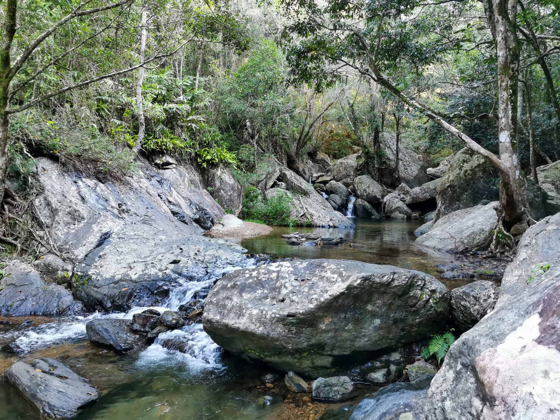 Stoney Creek Track in Cairns // Travel Mermaid