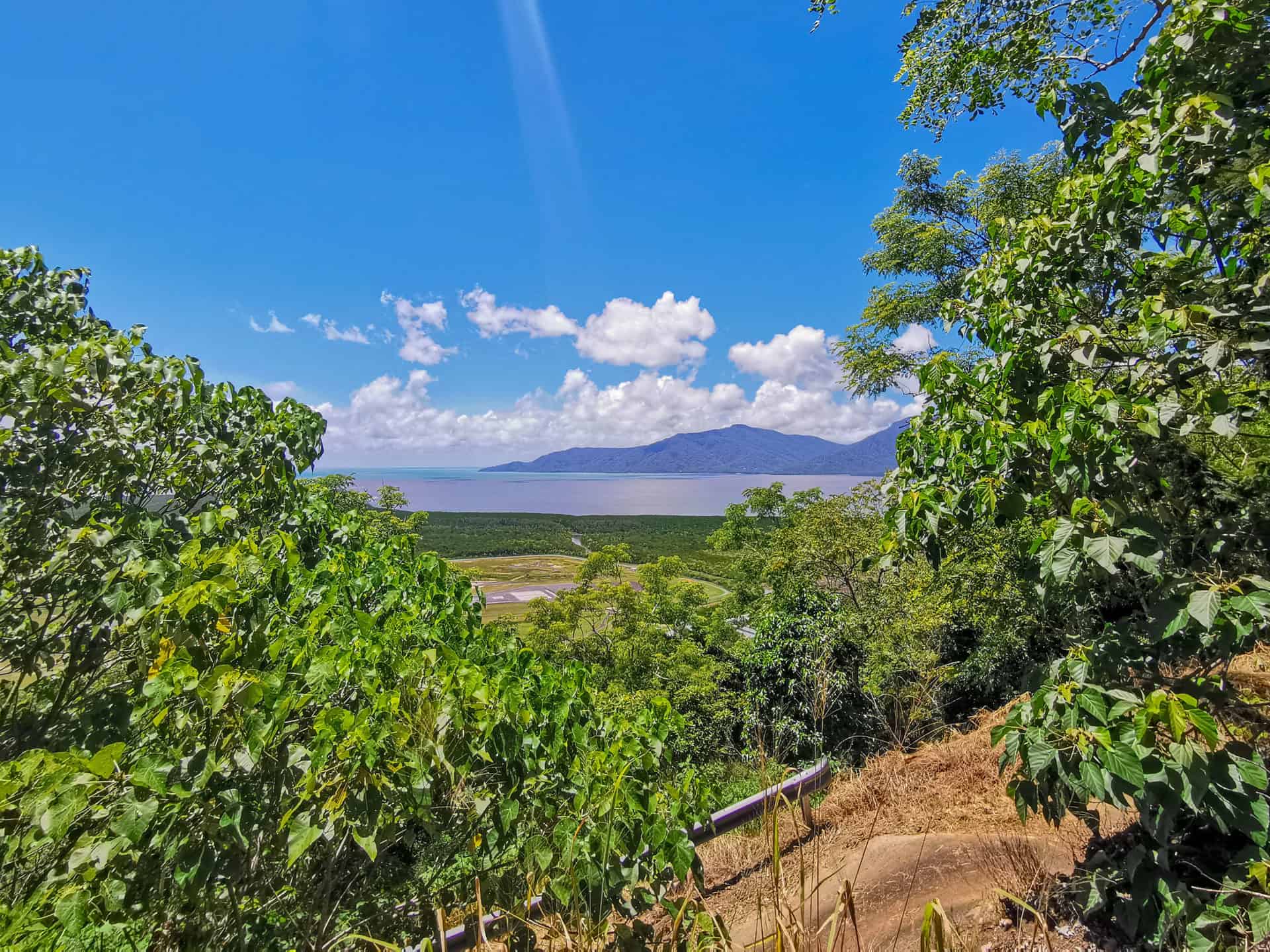 Viewpoint along the Yellow Arrow Track in Edge Hill, Cairns // Travel Mermaid