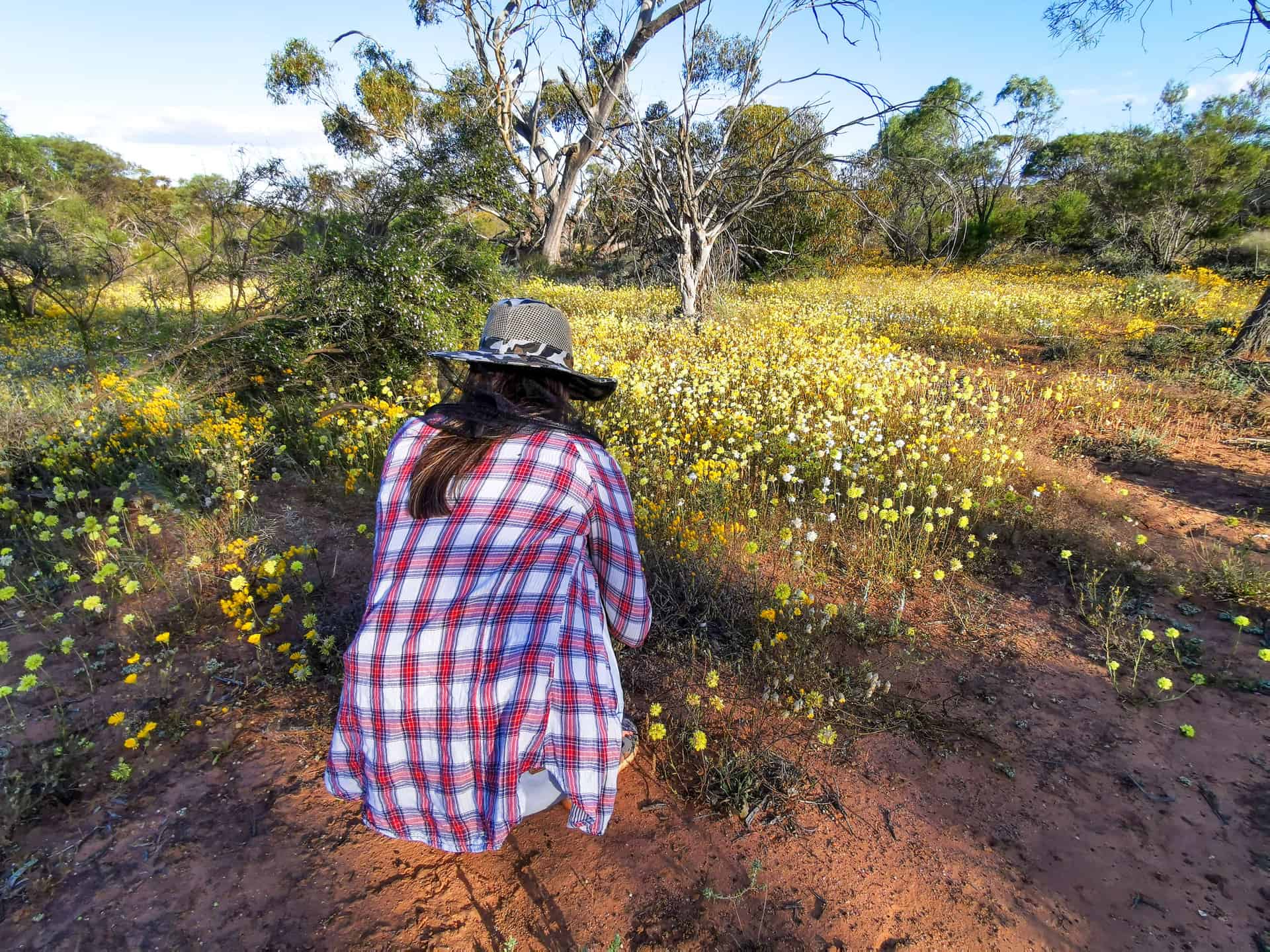 Observing wildflowers in Coalseam Conservation Park, Western Australia
